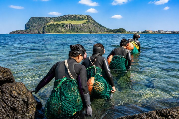 Best Jeju 2Days Tour: UNESCO & Must-See (East&SouthWest) - Photo 1 of 25